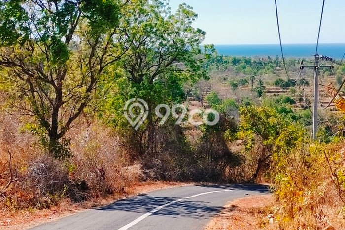 Lahan Strategis di Kubutambahan Dijual dengan Luas 6900m2 Lahan Strategis di Kubutambahan Dijual dengan Luas 6900m2