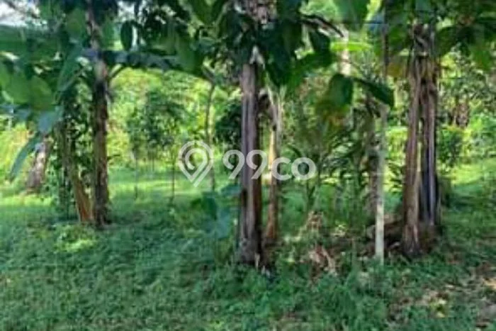 Tanah Dijual Area Strategis di Cikalongwetan Bandung Barat 1137m2 Tanah Dijual Area Strategis di Cikalongwetan Bandung Barat 1137m2