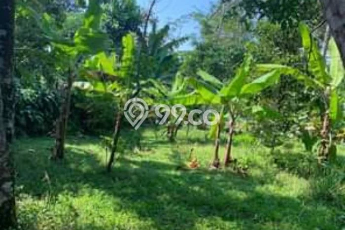 Tanah Dijual Area Strategis di Cikalongwetan Bandung Barat 1137m2 Tanah Dijual Area Strategis di Cikalongwetan Bandung Barat 1137m2