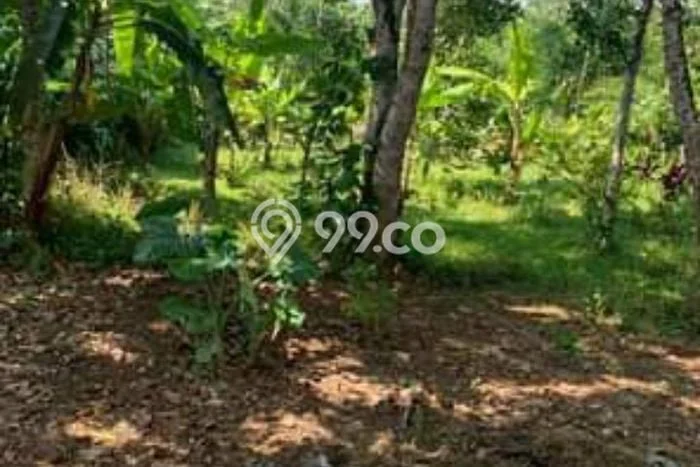 Tanah Dijual Area Strategis di Cikalongwetan Bandung Barat 1137m2 Tanah Dijual Area Strategis di Cikalongwetan Bandung Barat 1137m2