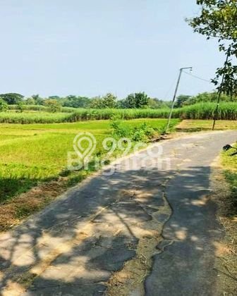 Tanah Dijual Lokasi Tasikmadu Karanganyar SHM Tanah Dijual Lokasi Tasikmadu Karanganyar SHM