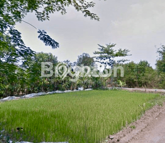 Kavling Tanah di Nguter Dijual Luas 750m2 Legalitas SHM Kavling Tanah di Nguter Dijual Luas 750m2 Legalitas SHM