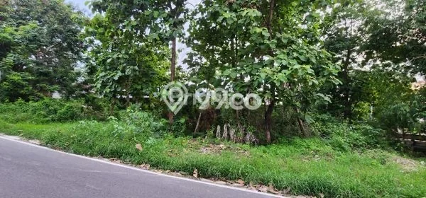 Tanah Disewakan Lokasi Surakarta Seluas 1160m2 Strategis dan Aman Tanah Disewakan Lokasi Surakarta Seluas 1160m2 Strategis dan Aman