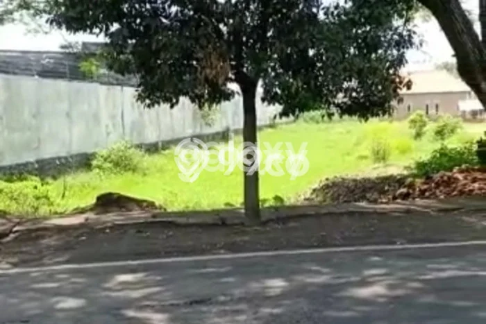 Lahan Investasi Lokasi Purworejo Pasuruan SHM Lahan Investasi Lokasi Purworejo Pasuruan SHM