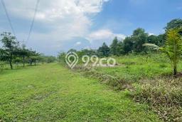 Tanah Dijual Lokasi Citeureup Bogor - Tanah Dijual Lokasi Citeureup Bogor -