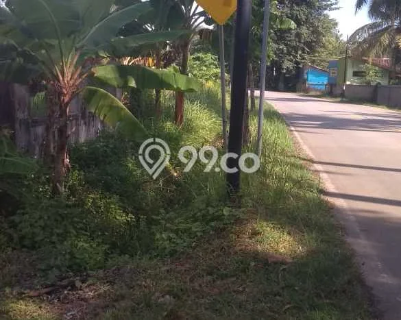 Tanah Kosong Dijual di Pandeglang dengan Area 30000m2 Tanah Kosong Dijual di Pandeglang dengan Area 30000m2