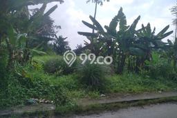 Kavling Tanah di Medan Selayang Dijual Luas 1680m2 Legalitas SHM Kavling Tanah di Medan Selayang Dijual Luas 1680m2 Legalitas SHM