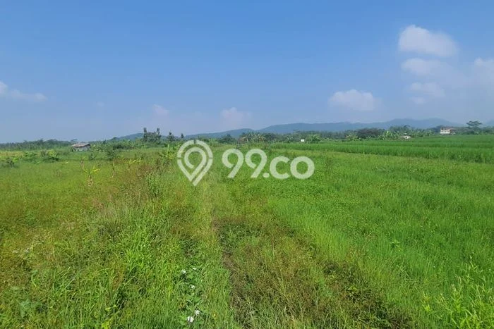Kavling Tanah di Borobudur Dijual Luas 3275m2 Legalitas SHM Kavling Tanah di Borobudur Dijual Luas 3275m2 Legalitas SHM