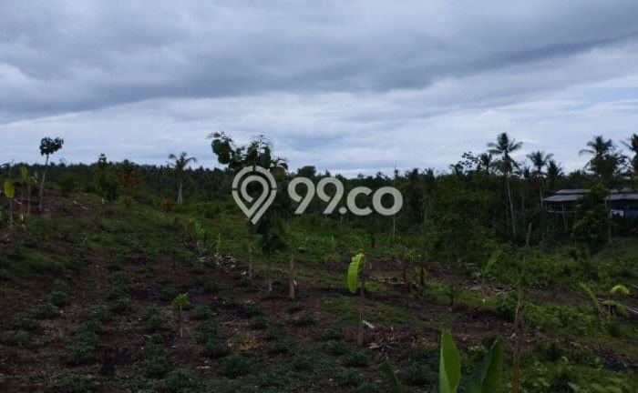 Dijual Tanah di Melaya, Luas 28300m², Lingkungan Nyaman Dijual Tanah di Melaya, Luas 28300m², Lingkungan Nyaman
