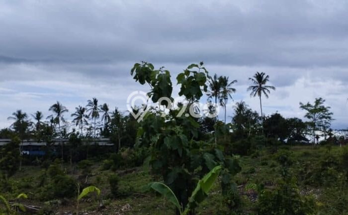 Dijual Tanah di Melaya, Luas 28300m², Lingkungan Nyaman Dijual Tanah di Melaya, Luas 28300m², Lingkungan Nyaman