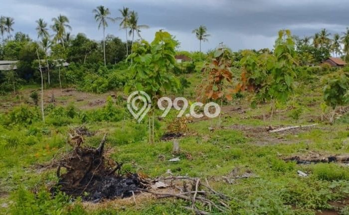 Dijual Tanah di Melaya, Luas 28300m², Lingkungan Nyaman Dijual Tanah di Melaya, Luas 28300m², Lingkungan Nyaman