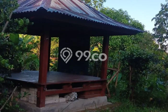 Untuk Dijual Tanah di Buleleng, Luas 6000m2 SHM Untuk Dijual Tanah di Buleleng, Luas 6000m2 SHM