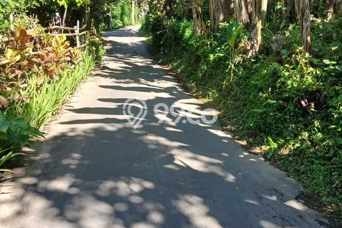 Jarang Ada! Tanah di Payangan Punya Luas 3500m2 SHM Jarang Ada! Tanah di Payangan Punya Luas 3500m2 SHM