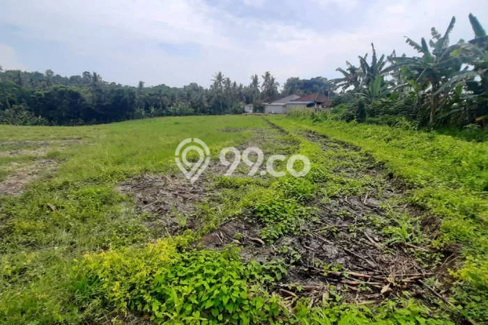 Tanah Kavling Dijual di Tabanan dengan Spesifikasi 3200m2 Tanah Kavling Dijual di Tabanan dengan Spesifikasi 3200m2