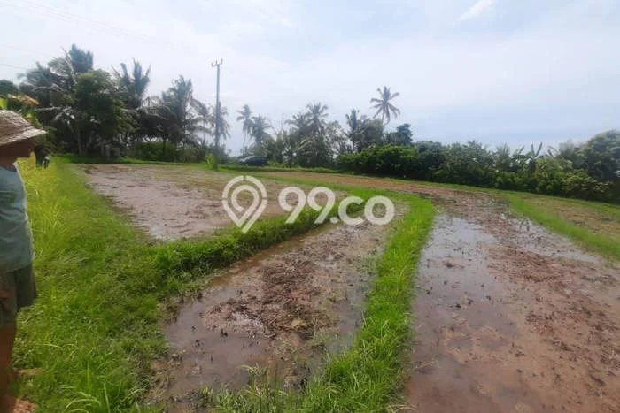 Jarang Ada! Tanah di Selemadeg Punya Luas 10600m2 SHM Jarang Ada! Tanah di Selemadeg Punya Luas 10600m2 SHM