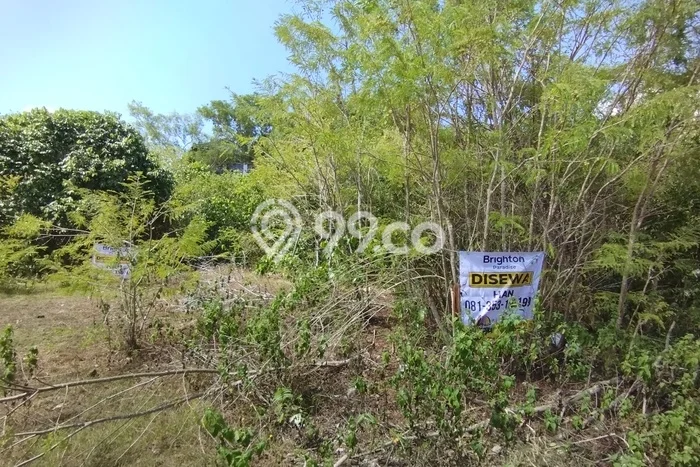 Tanah Disewa di Ungasan Strategis dan Memiliki Luas 400m2 Tanah Disewa di Ungasan Strategis dan Memiliki Luas 400m2