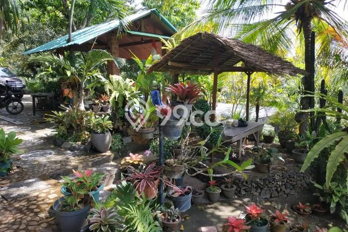 Jarang Ada! Tanah di Seririt Punya Luas 2600m2 SHM Jarang Ada! Tanah di Seririt Punya Luas 2600m2 SHM