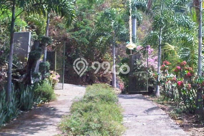 Jarang Ada! Tanah di Seririt Punya Luas 2600m2 SHM Jarang Ada! Tanah di Seririt Punya Luas 2600m2 SHM