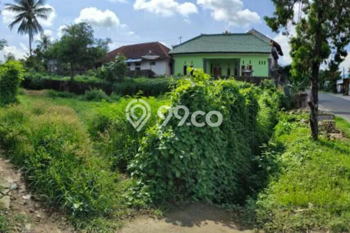 Disewakan Tanah di Buleleng, Luas 600m2 Area Berkembang Disewakan Tanah di Buleleng, Luas 600m2 Area Berkembang