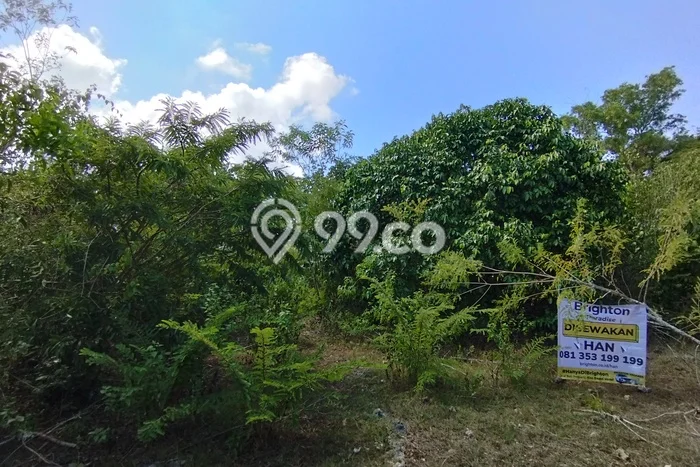 Tanah Disewa di Ungasan Strategis dan Memiliki Luas 400m2 Tanah Disewa di Ungasan Strategis dan Memiliki Luas 400m2