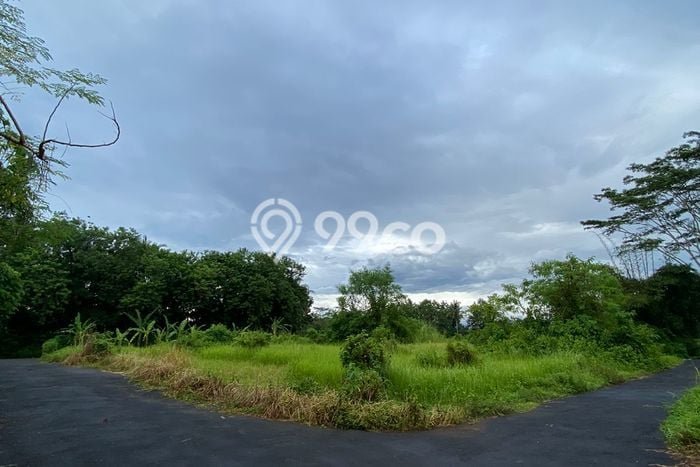 Tanah Kavling Dijual di Badung dengan Spesifikasi 3750m2 Tanah Kavling Dijual di Badung dengan Spesifikasi 3750m2