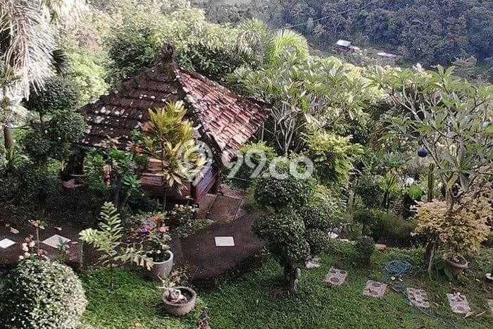 Jarang Ada! Tanah di Seririt Punya Luas 2600m2 SHM Jarang Ada! Tanah di Seririt Punya Luas 2600m2 SHM