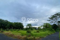 Tanah Kavling Dijual di Badung dengan Spesifikasi 3750m2 Tanah Kavling Dijual di Badung dengan Spesifikasi 3750m2