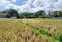 Tanah Disewakan Lokasi Badung Seluas 2400m2 Strategis dan Aman Tanah Disewakan Lokasi Badung Seluas 2400m2 Strategis dan Aman