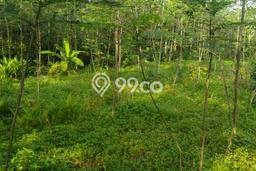 Dijual Tanah di Semarang, Luas 542m2 - Dijual Tanah di Semarang, Luas 542m2 -