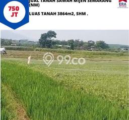 Tanah Dijual Lokasi Mijen, Semarang dengan Luas Tanah 3864m2 dan Status SHM Tanah Dijual Lokasi Mijen, Semarang dengan Luas Tanah 3864m2 dan Status SHM