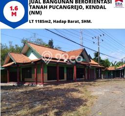 Tanah Investasi Dijual di Kendal Punya Luas 1185m2 Tanah Investasi Dijual di Kendal Punya Luas 1185m2