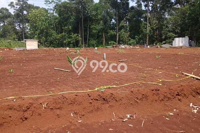 Lahan Investasi Lokasi Semarang Barat Semarang SHM Lahan Investasi Lokasi Semarang Barat Semarang SHM