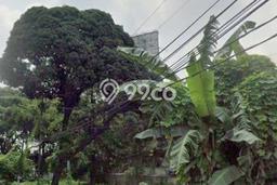 Tanah Investasi Disewakan di Tebet, Jakarta Selatan, Luas 2438m2 Tanah Investasi Disewakan di Tebet, Jakarta Selatan, Luas 2438m2