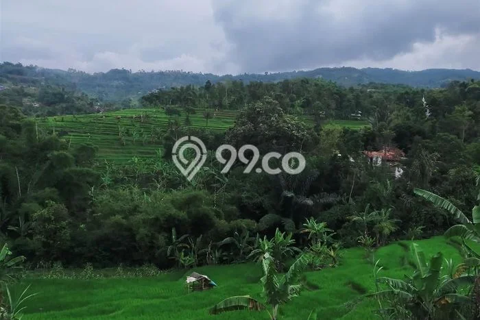 Jarang Ada! Tanah di Cimenyan Punya Luas 26376m2 SHM Jarang Ada! Tanah di Cimenyan Punya Luas 26376m2 SHM