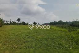 Lahan Investasi Lokasi Purwakarta Purwakarta SHM Lahan Investasi Lokasi Purwakarta Purwakarta SHM