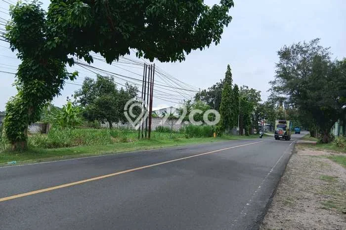 Tanah di Brondong, Lamongan Luas 10250m2 Dijual Segera Tanah di Brondong, Lamongan Luas 10250m2 Dijual Segera