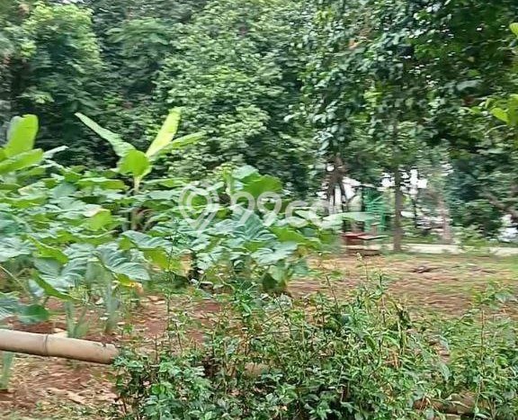 Tanah Siap Bangun Dijual di Bekasi Punya Luas 4085m2 Tanah Siap Bangun Dijual di Bekasi Punya Luas 4085m2