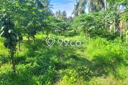 Tanah Komersial Dijual di Rogojampi Banyuwangi 5680m2 Tanah Komersial Dijual di Rogojampi Banyuwangi 5680m2