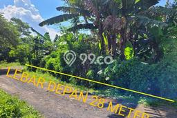 Lahan untuk Dijual di Rogojampi Banyuwangi Luas 1100m2 Lahan untuk Dijual di Rogojampi Banyuwangi Luas 1100m2