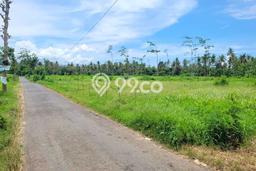 Lahan untuk Dijual di Kalipuro Banyuwangi Luas 28330m2 Lahan untuk Dijual di Kalipuro Banyuwangi Luas 28330m2