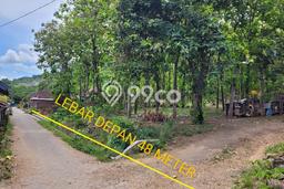 Tanah untuk Dijual Lokasi Kalipuro, Banyuwangi Luas 7138m2 SHM Tanah untuk Dijual Lokasi Kalipuro, Banyuwangi Luas 7138m2 SHM