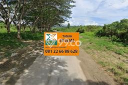 Untuk Dijual Tanah di Sambutan Samarinda Luas 100000m2 SHM Untuk Dijual Tanah di Sambutan Samarinda Luas 100000m2 SHM
