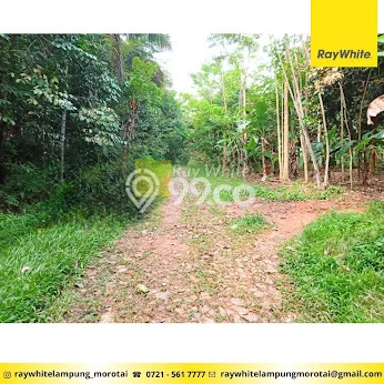 Lahan untuk Dijual di Tanjung Bintang Lampung Selatan Luas 29130m2 Lahan untuk Dijual di Tanjung Bintang Lampung Selatan Luas 29130m2