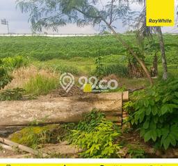 Tanah untuk Dijual di Jati Agung Lampung Selatan Luas 200m2 Tanah untuk Dijual di Jati Agung Lampung Selatan Luas 200m2