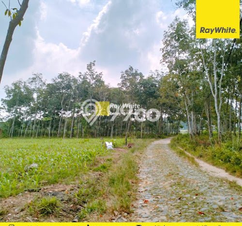 Lahan Kosong Dijual di Lampung Selatan dengan Area 8888m2 Lahan Kosong Dijual di Lampung Selatan dengan Area 8888m2