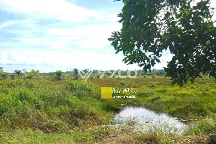 Rumah Modern Cantik 5 KT Bisa Langsung Pindah di Tanjung Karang Pusat Rumah Modern Cantik 5 KT Bisa Langsung Pindah di Tanjung Karang Pusat