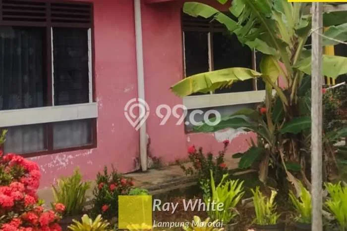 Rumah Budget Terbaik Dijual Area Gabek LT 1m2 Rumah Budget Terbaik Dijual Area Gabek LT 1m2