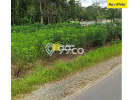 Jarang Ada! Tanah di Gunung Sugih Punya Luas 2009m2 SHM Jarang Ada! Tanah di Gunung Sugih Punya Luas 2009m2 SHM