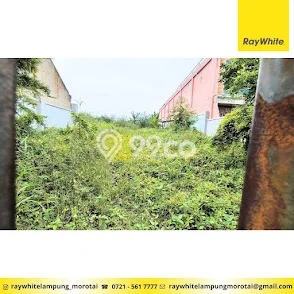 Jarang Ada! Tanah di Sukarame Punya Luas 1830m2 SHM Jarang Ada! Tanah di Sukarame Punya Luas 1830m2 SHM