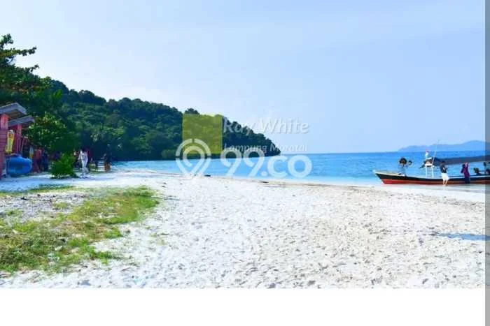 Tanah Dijual Lokasi Padang Cermin, Pesawaran dengan Luas Tanah 115m2 dan Status SHM Tanah Dijual Lokasi Padang Cermin, Pesawaran dengan Luas Tanah 115m2 dan Status SHM